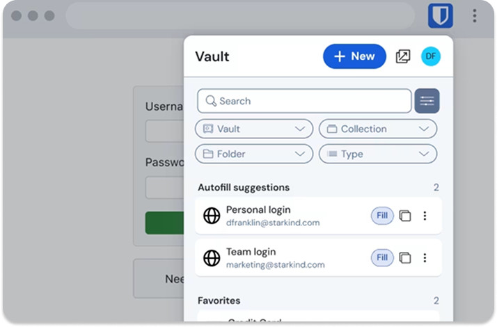 Web Browser Extension Vault