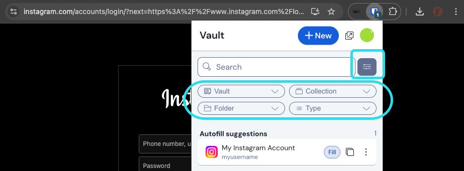 Browser extension filters and suggestions