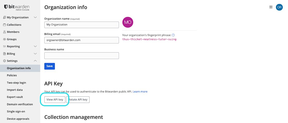 Get organization API key 