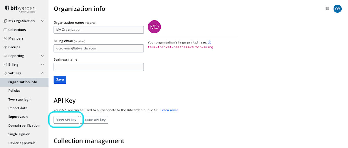 Get organization API key 