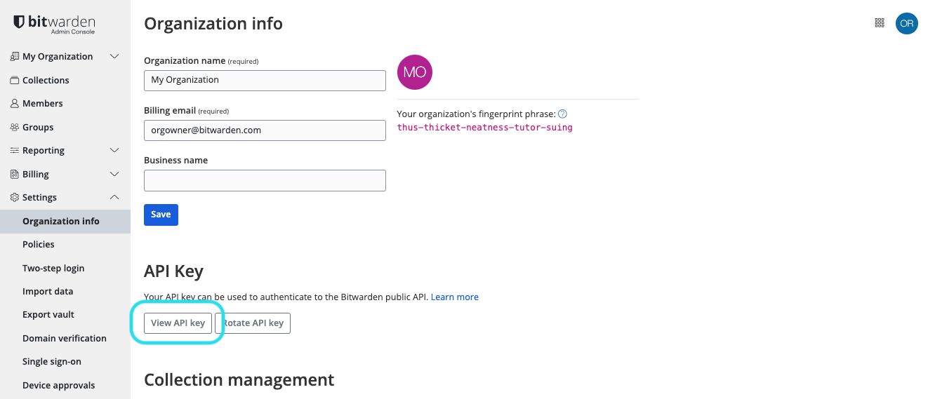 Get organization API key