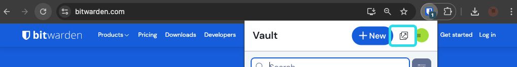 Browser extension pop-out