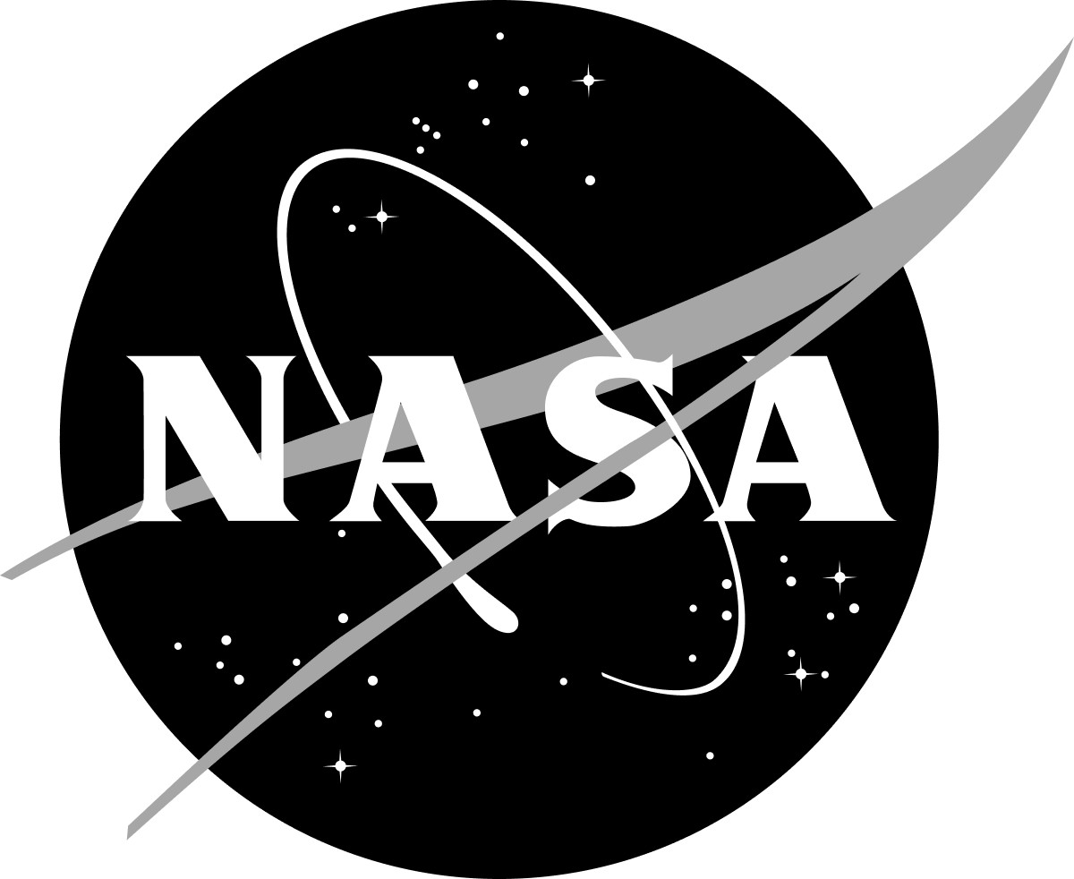 NASA logo - B&W meatball