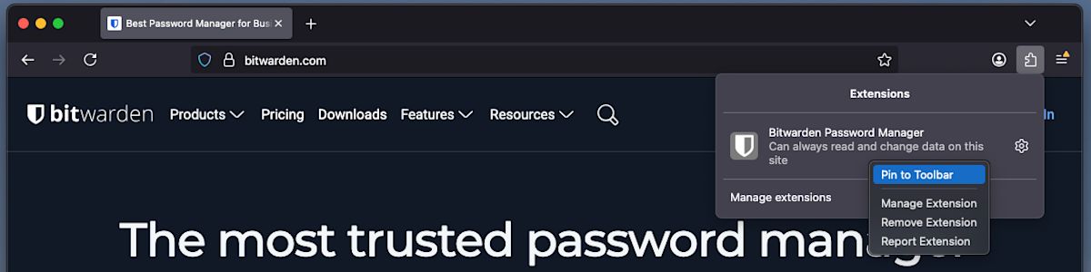 Pin on Firefox