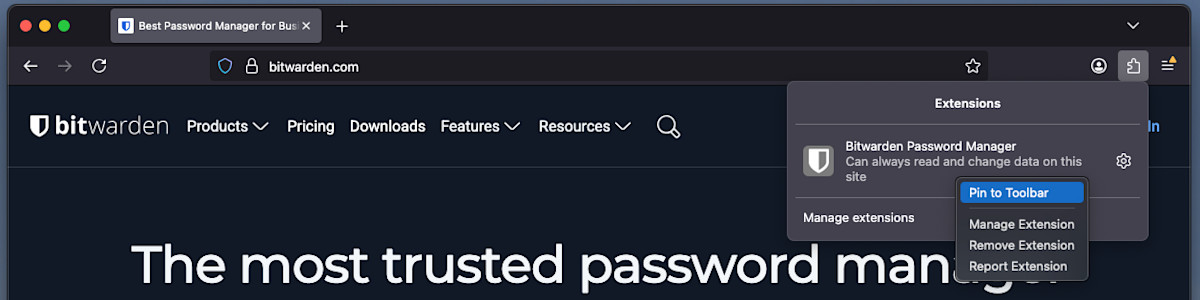 Pin on Firefox