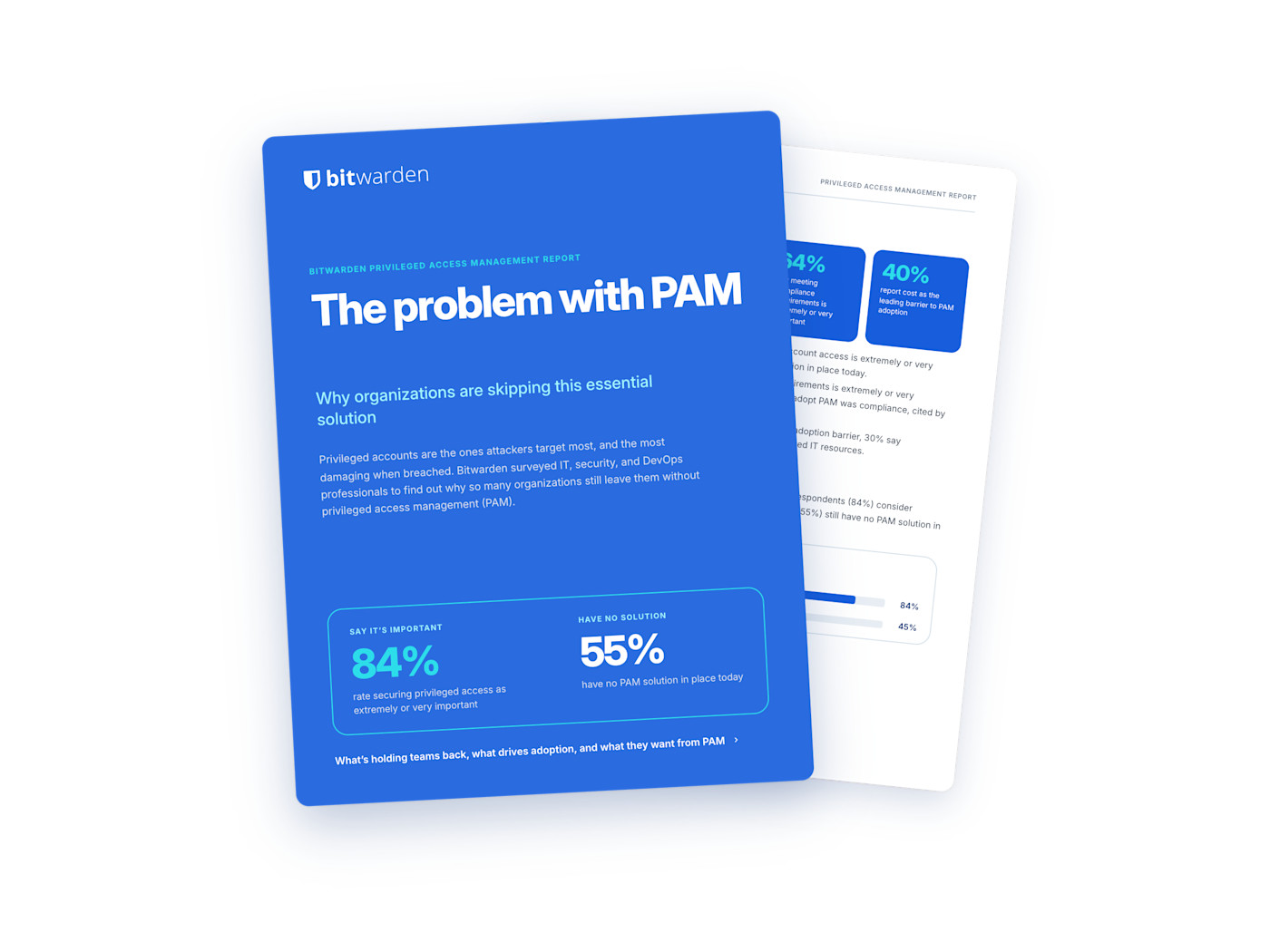 PAM-report-thumbnail