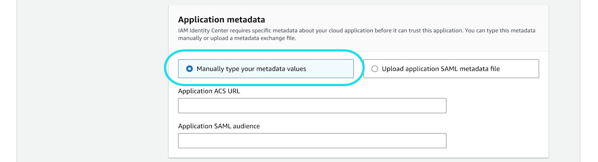 Enter metadata values 