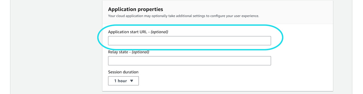 IAM Identity Center application properties