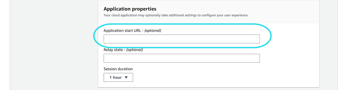 IAM Identity Center application properties