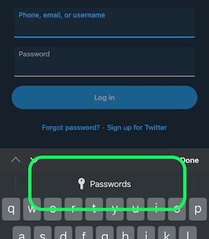 Tap Passwords in iOS