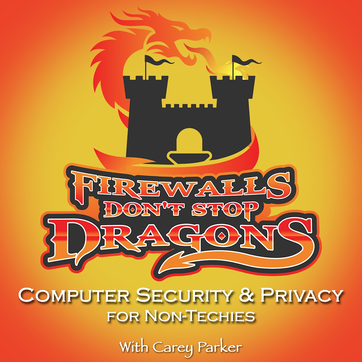 Firewalls Don't Stop Dragons logo