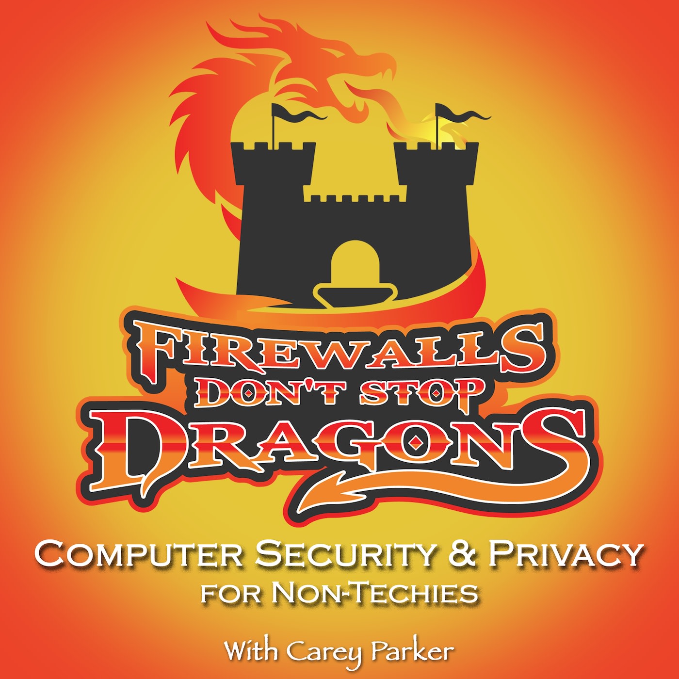 Firewalls Don't Stop Dragons logo