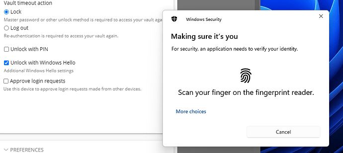 Windows Hello prompt