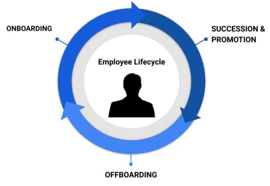Employee Lifecycle