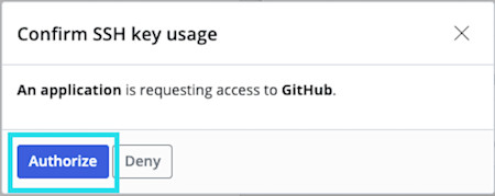 Authorize SSH key usage