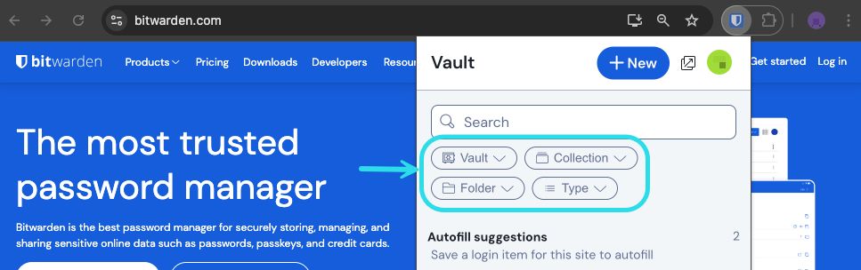 Browser extension filtering